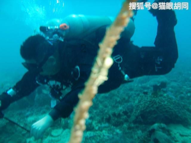 合并成十